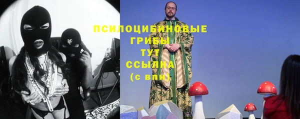 крисы Бугульма
