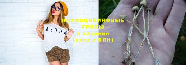 крисы Бугульма