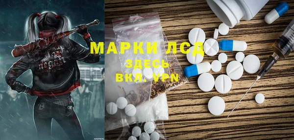 крисы Бугульма