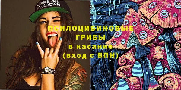 крисы Бугульма