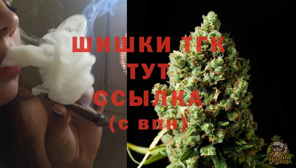 кокс Бородино