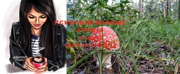 кокс Бородино