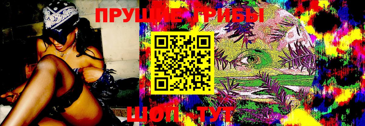 Галлюциногенные грибы Psilocybine cubensis Бугульма