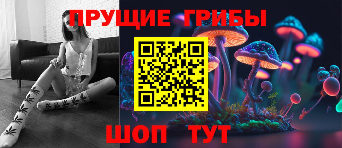 Псилоцибиновые грибы мицелий Бугульма