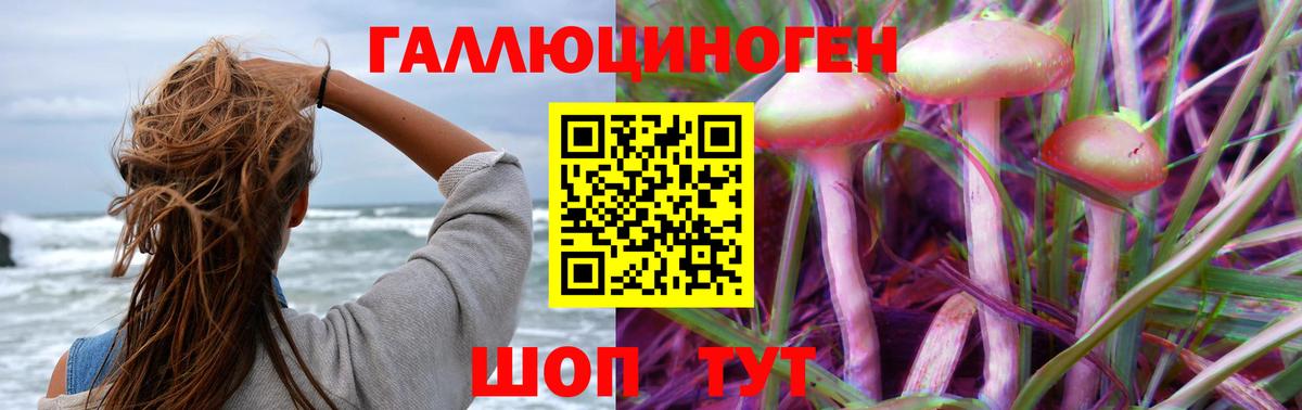 Галлюциногенные грибы Magic Shrooms  Вход с VPN  Бугульма  Псилоцибиновые грибы Cubensis 
